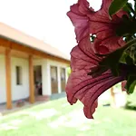 Zergeboglar Vendeghaz Szilvásvárad